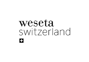 Weseta Logo